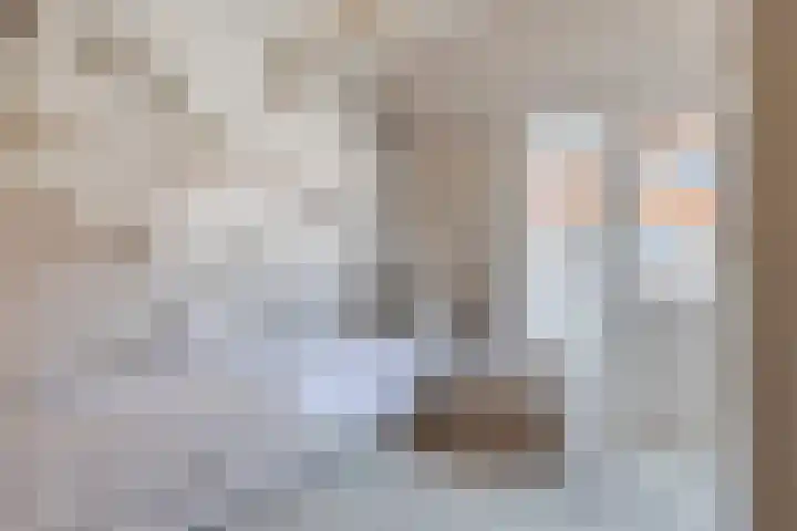Van Houtenkade 42 Alkmaar thumbnail 24