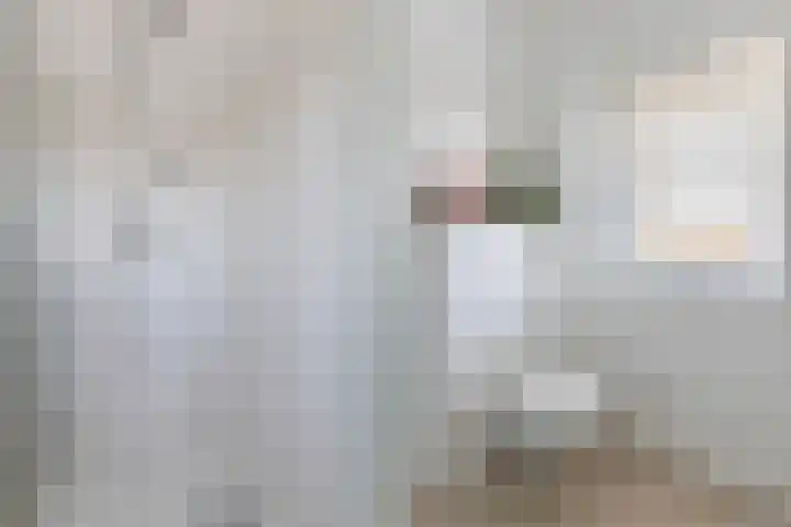 Van Houtenkade 42 Alkmaar thumbnail 35