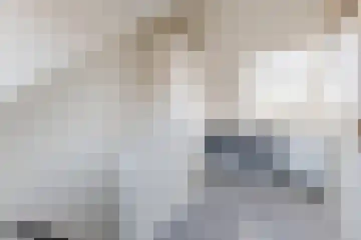 Van Houtenkade 42 Alkmaar thumbnail 36