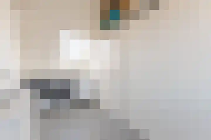 Van Houtenkade 42 Alkmaar thumbnail 37