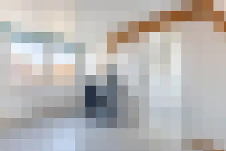 Van Houtenkade 42 Alkmaar thumbnail 39