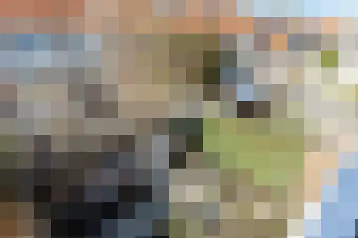 Van Houtenkade 42 Alkmaar thumbnail 44