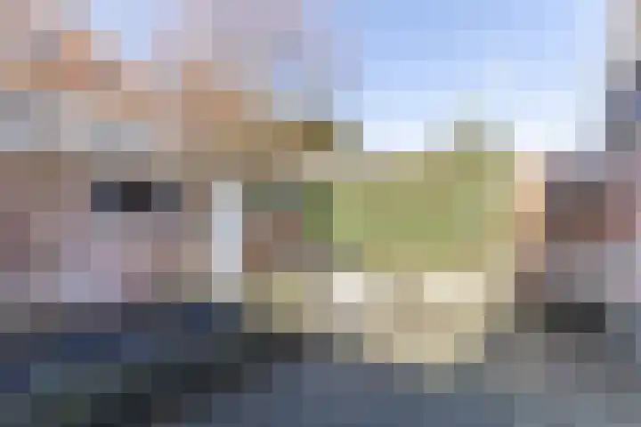 Van Houtenkade 42 Alkmaar thumbnail 46
