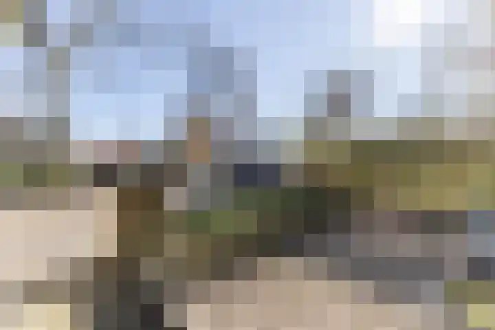 Van Houtenkade 42 Alkmaar thumbnail 7