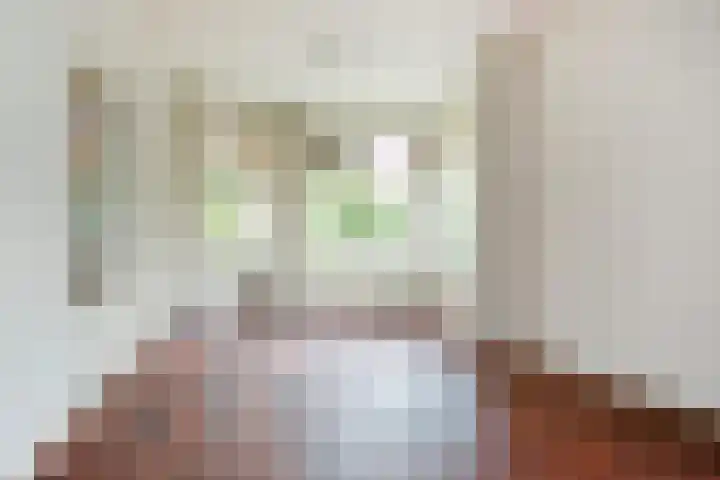 Van Houtenkade 48 Alkmaar thumbnail 13