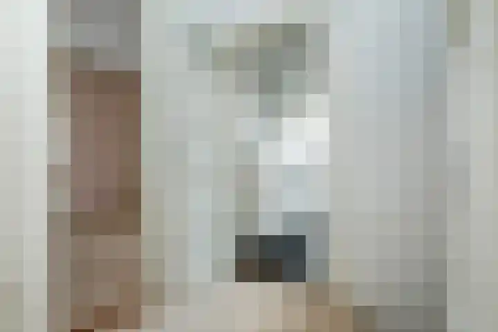 Van Houtenkade 48 Alkmaar thumbnail 24