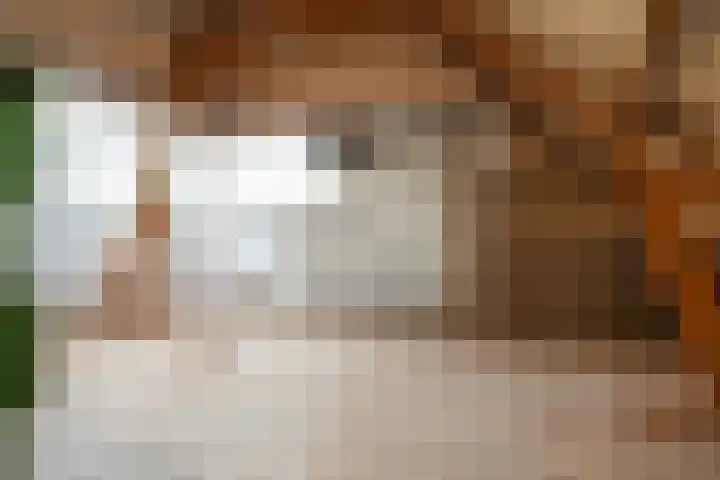 Van Houtenkade 48 Alkmaar thumbnail 37