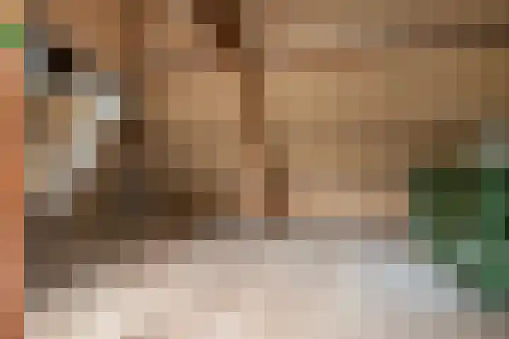 Van Houtenkade 48 Alkmaar thumbnail 39