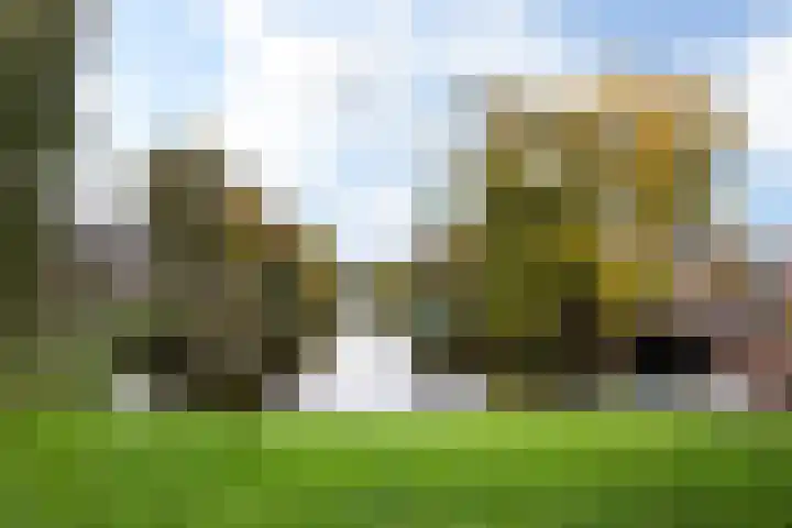 Van Houtenkade 48 Alkmaar thumbnail 40