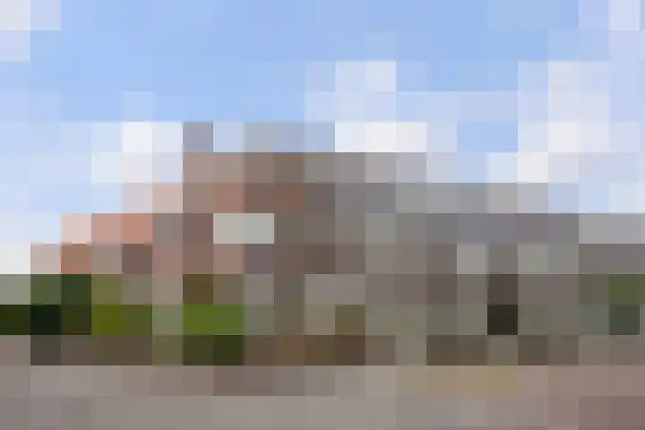 Van Houtenkade 48 Alkmaar thumbnail 5