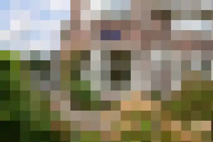 Van Houtenkade 48 Alkmaar thumbnail 9