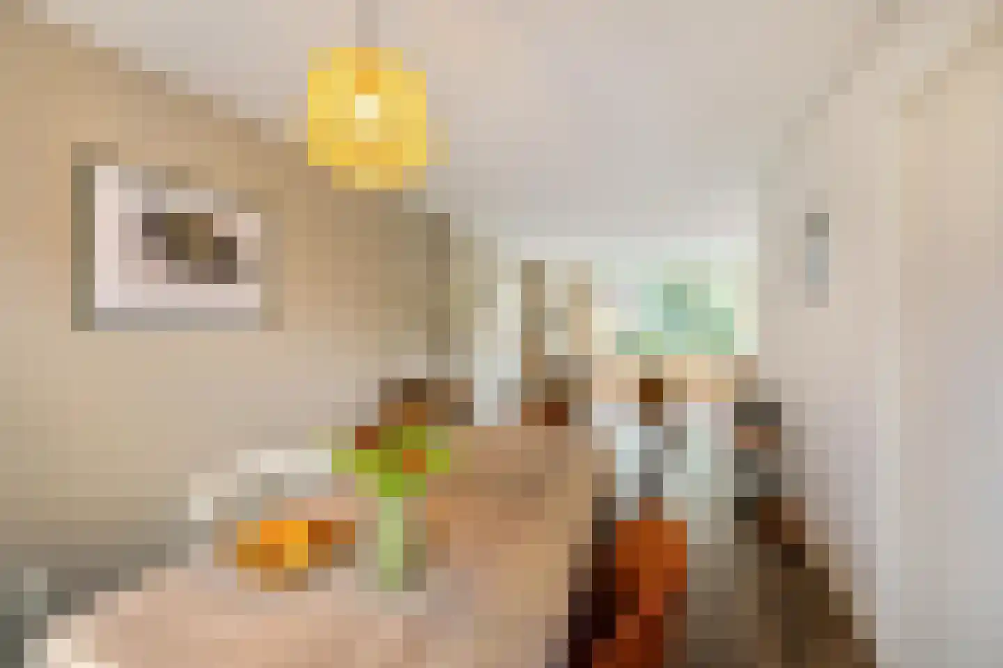 Van Houtenlaan 108 Groningen thumbnail 15