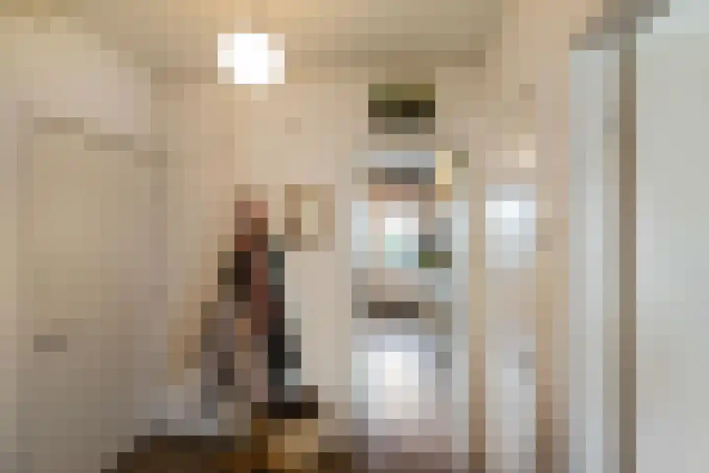 Van Houtenlaan 108 Groningen thumbnail 16