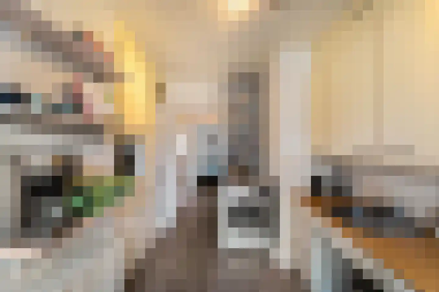 Van Houtenlaan 108 Groningen thumbnail 18
