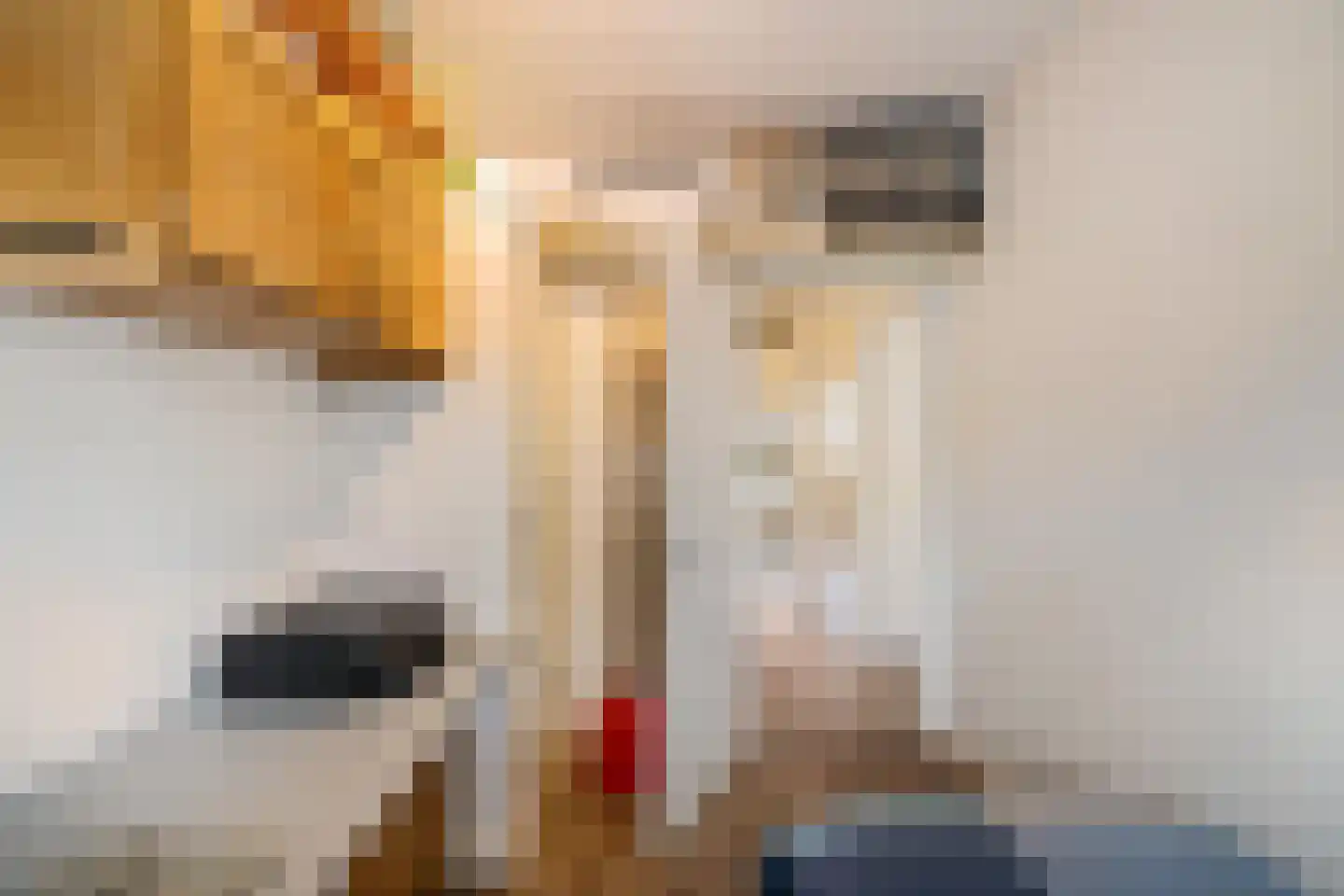 Van Houtenlaan 108 Groningen thumbnail 24