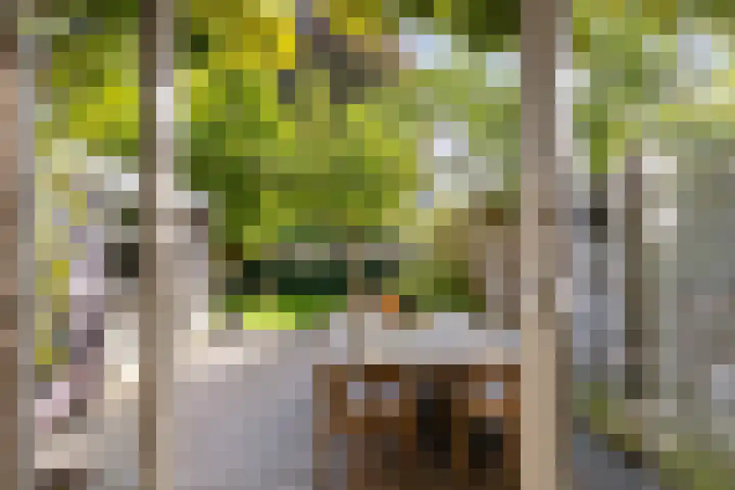 Van Houtenlaan 122 Groningen thumbnail 22