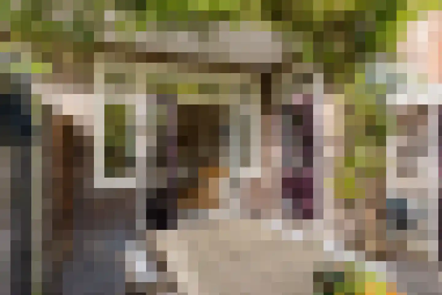 Van Houtenlaan 122 Groningen thumbnail 25