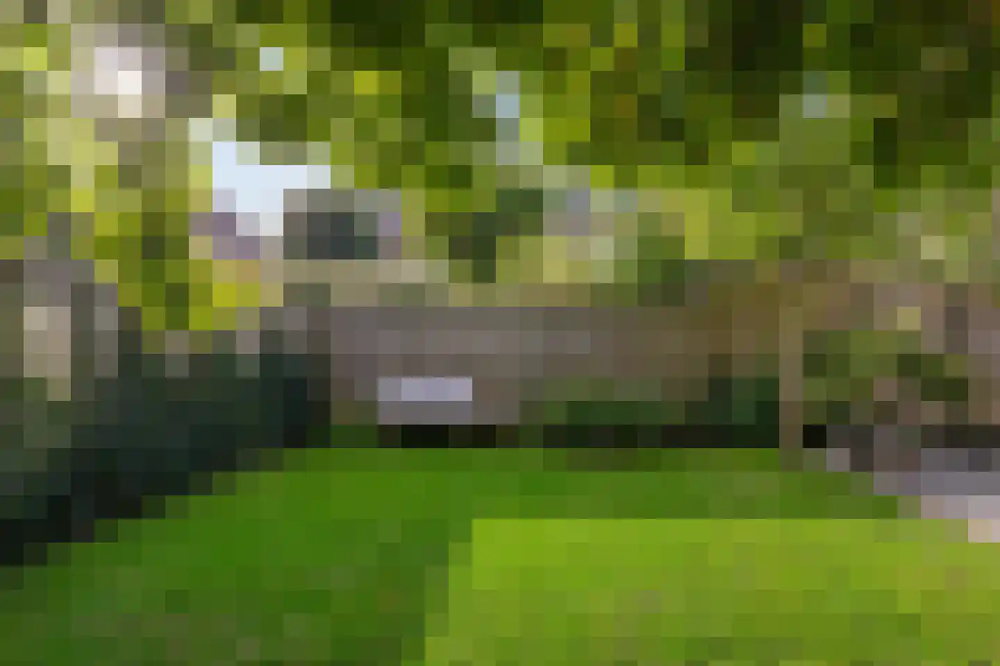 Van Houtenlaan 122 Groningen thumbnail 27