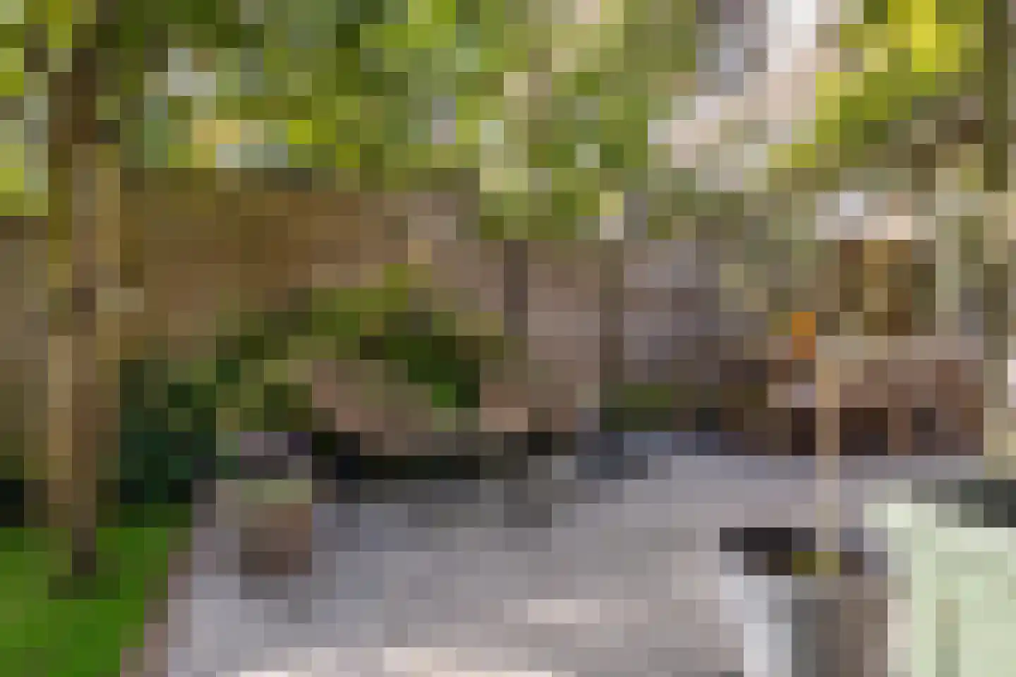 Van Houtenlaan 122 Groningen thumbnail 4