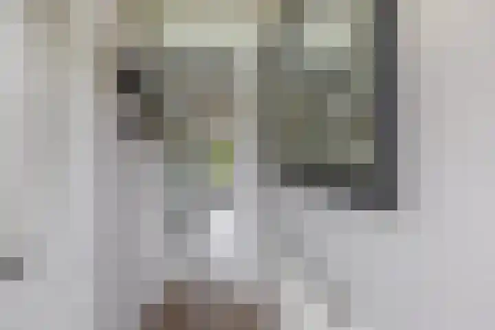 van Houtenlaan 13 Pijnacker thumbnail 10
