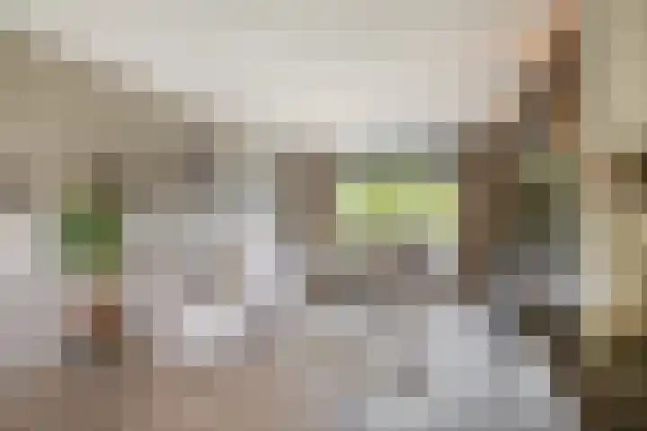 van Houtenlaan 13 Pijnacker thumbnail 11