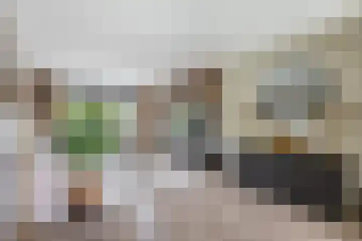 van Houtenlaan 13 Pijnacker thumbnail 12