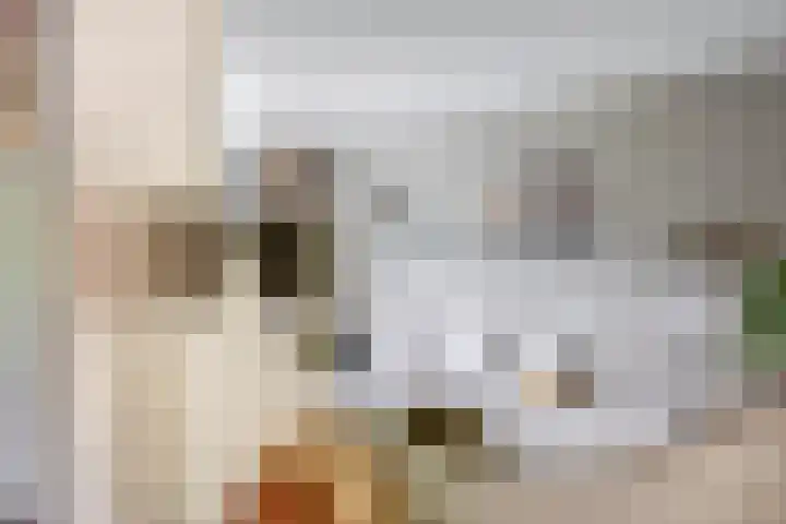van Houtenlaan 13 Pijnacker thumbnail 14