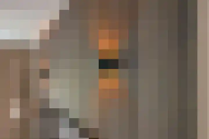 van Houtenlaan 13 Pijnacker thumbnail 16