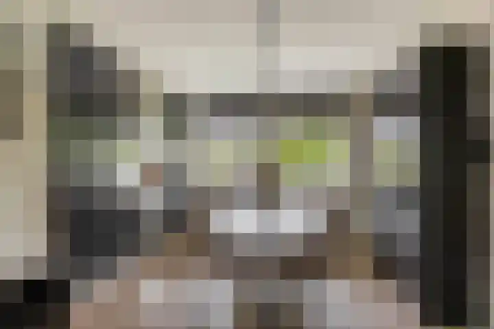 van Houtenlaan 13 Pijnacker thumbnail 17