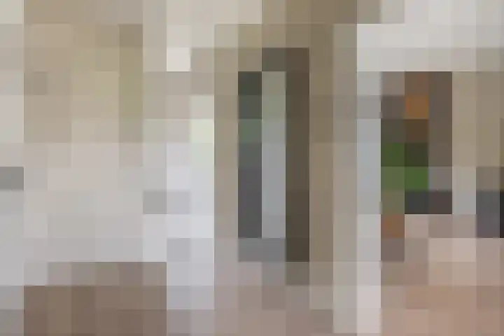 van Houtenlaan 13 Pijnacker thumbnail 19