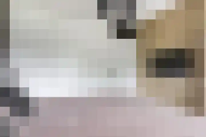 van Houtenlaan 13 Pijnacker thumbnail 21