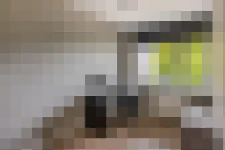 van Houtenlaan 13 Pijnacker thumbnail 24