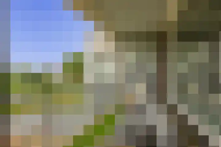 van Houtenlaan 13 Pijnacker thumbnail 26