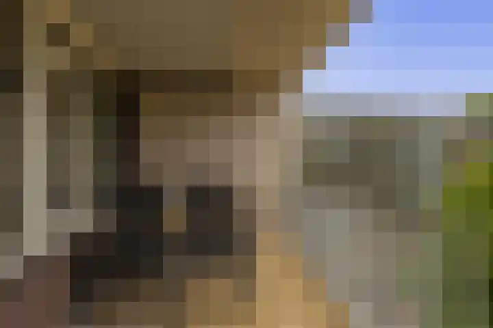 van Houtenlaan 13 Pijnacker thumbnail 27