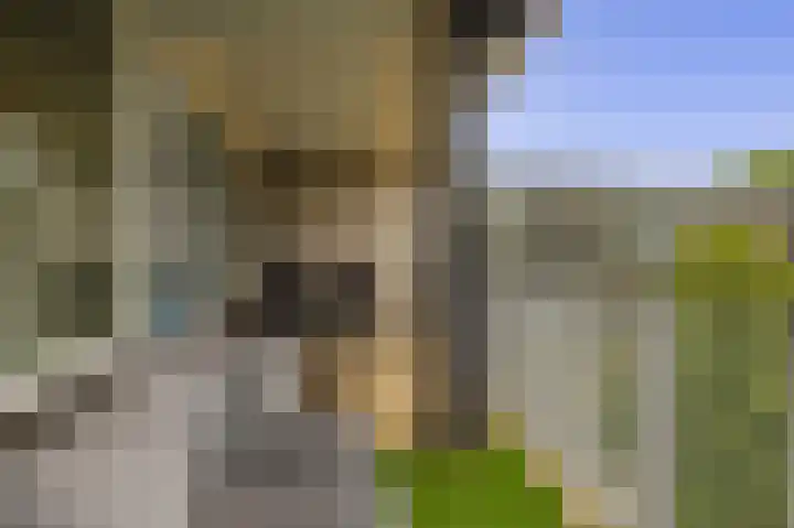 van Houtenlaan 13 Pijnacker thumbnail 28