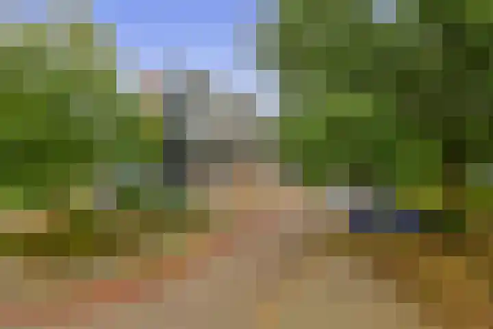 van Houtenlaan 13 Pijnacker thumbnail 29