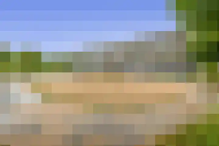 van Houtenlaan 13 Pijnacker thumbnail 30