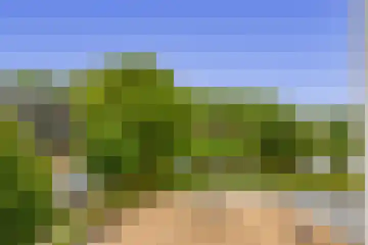 van Houtenlaan 13 Pijnacker thumbnail 31