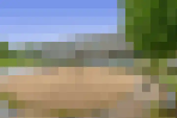 van Houtenlaan 13 Pijnacker thumbnail 32