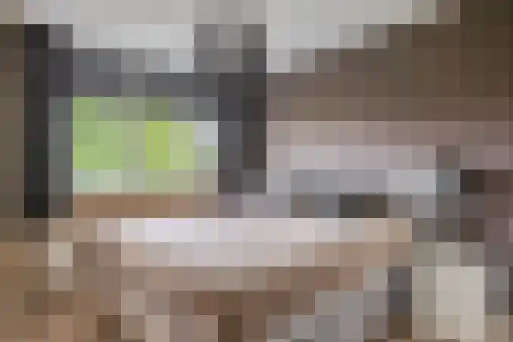 van Houtenlaan 13 Pijnacker thumbnail 4