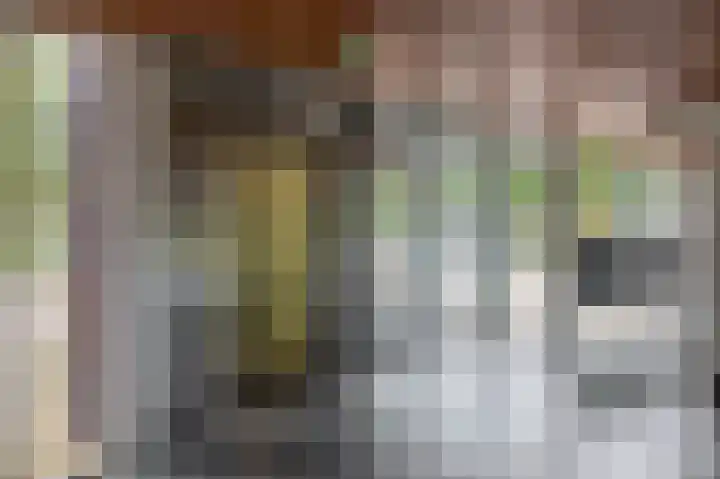 van Houtenlaan 13 Pijnacker thumbnail 7