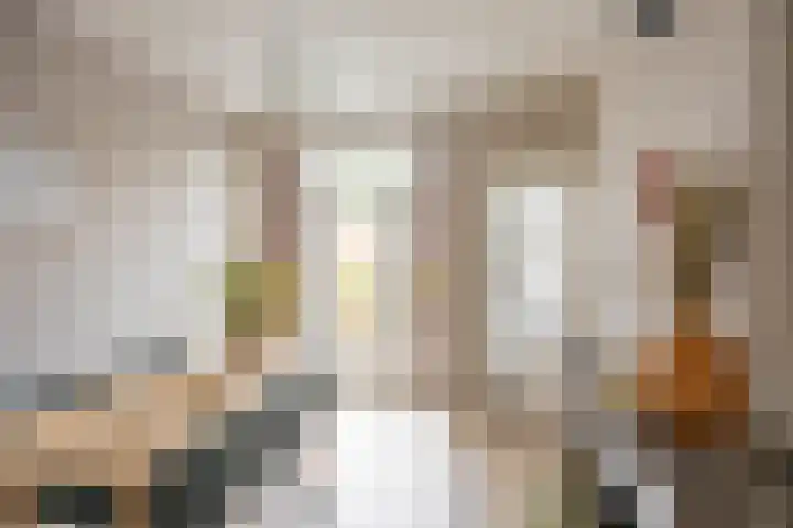 Van Houtenlaan 14 Groningen thumbnail 12