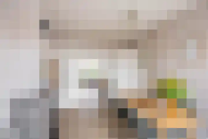 Van Houtenlaan 14 Groningen thumbnail 14