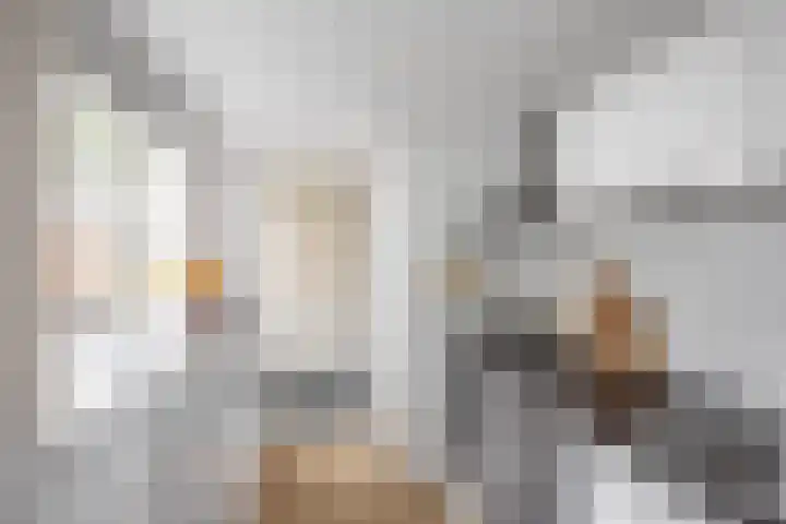 Van Houtenlaan 14 Groningen thumbnail 15