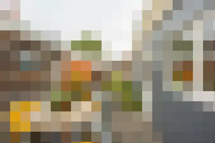 Van Houtenlaan 14 Groningen thumbnail 22