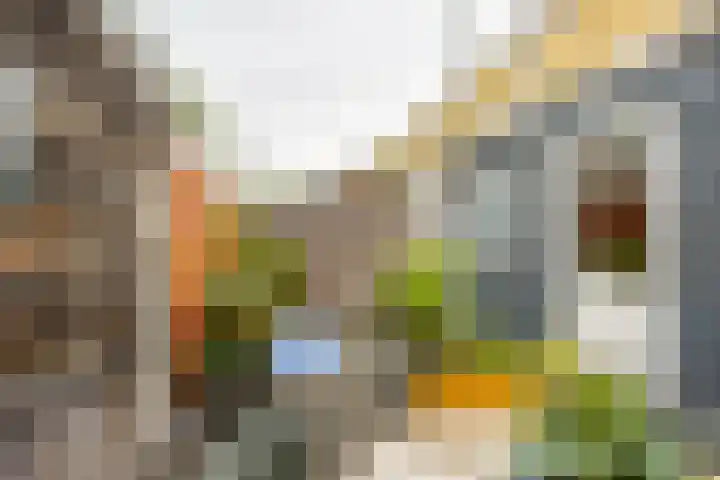 Van Houtenlaan 14 Groningen thumbnail 23