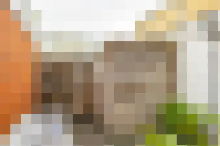 Van Houtenlaan 14 Groningen thumbnail 24