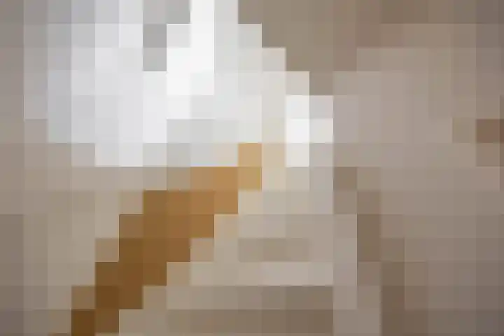 Van Houtenlaan 14 Groningen thumbnail 31