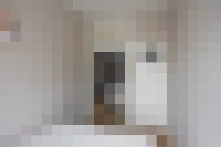 Van Houtenlaan 14 Groningen thumbnail 34