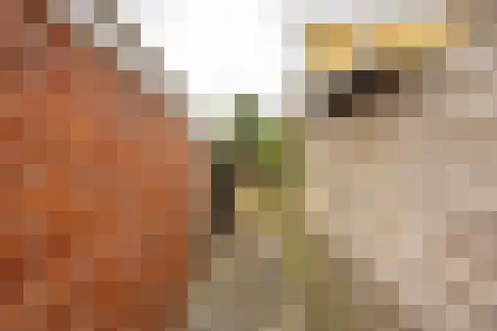 Van Houtenlaan 14 Groningen thumbnail 35